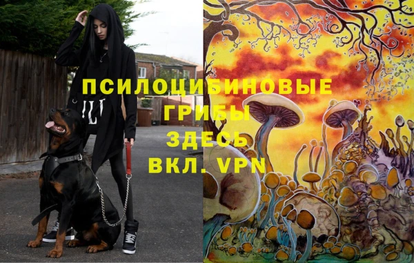 метамфетамин Армянск