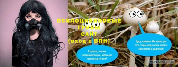 крисы Алзамай